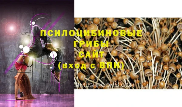 гидра Мегион