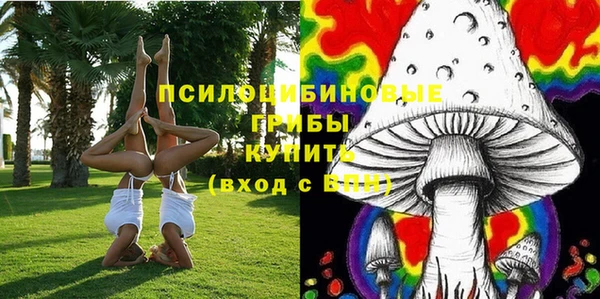 гидра Мегион