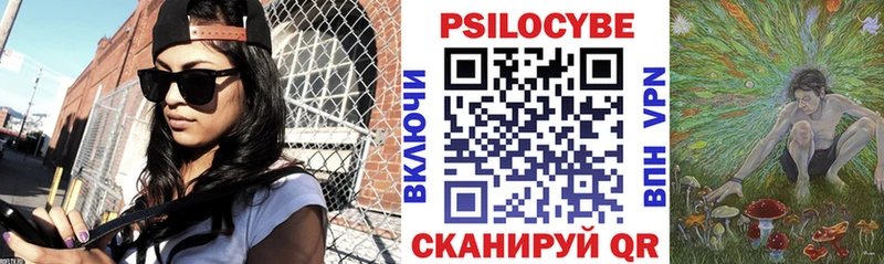 закладки  Струнино  Галлюциногенные грибы MAGIC MUSHROOMS 